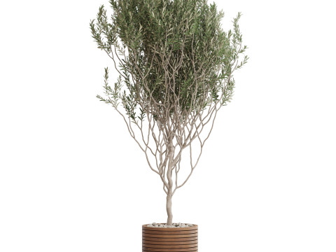 Plants collection 730 3D Model