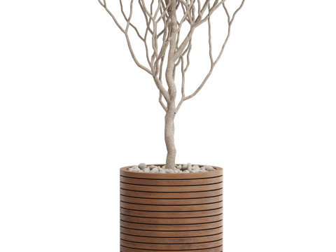Plants collection 730 3D Model