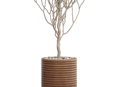 Plants collection 730 3D Model