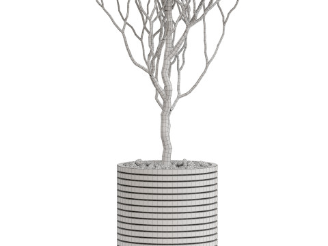Plants collection 730 3D Model