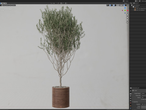 Plants collection 730 3D Model