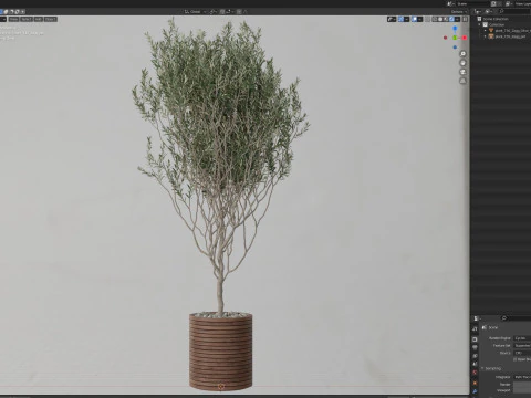 Plants collection 730 3D Model