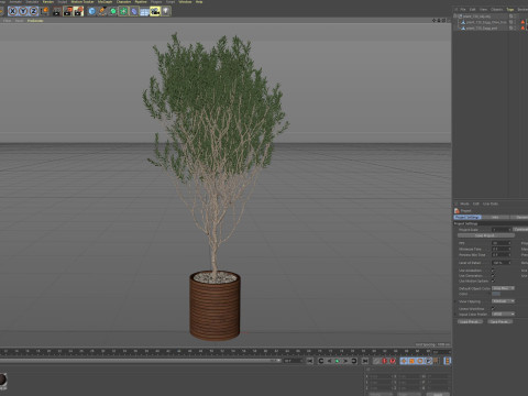 Plants collection 730 3D Model
