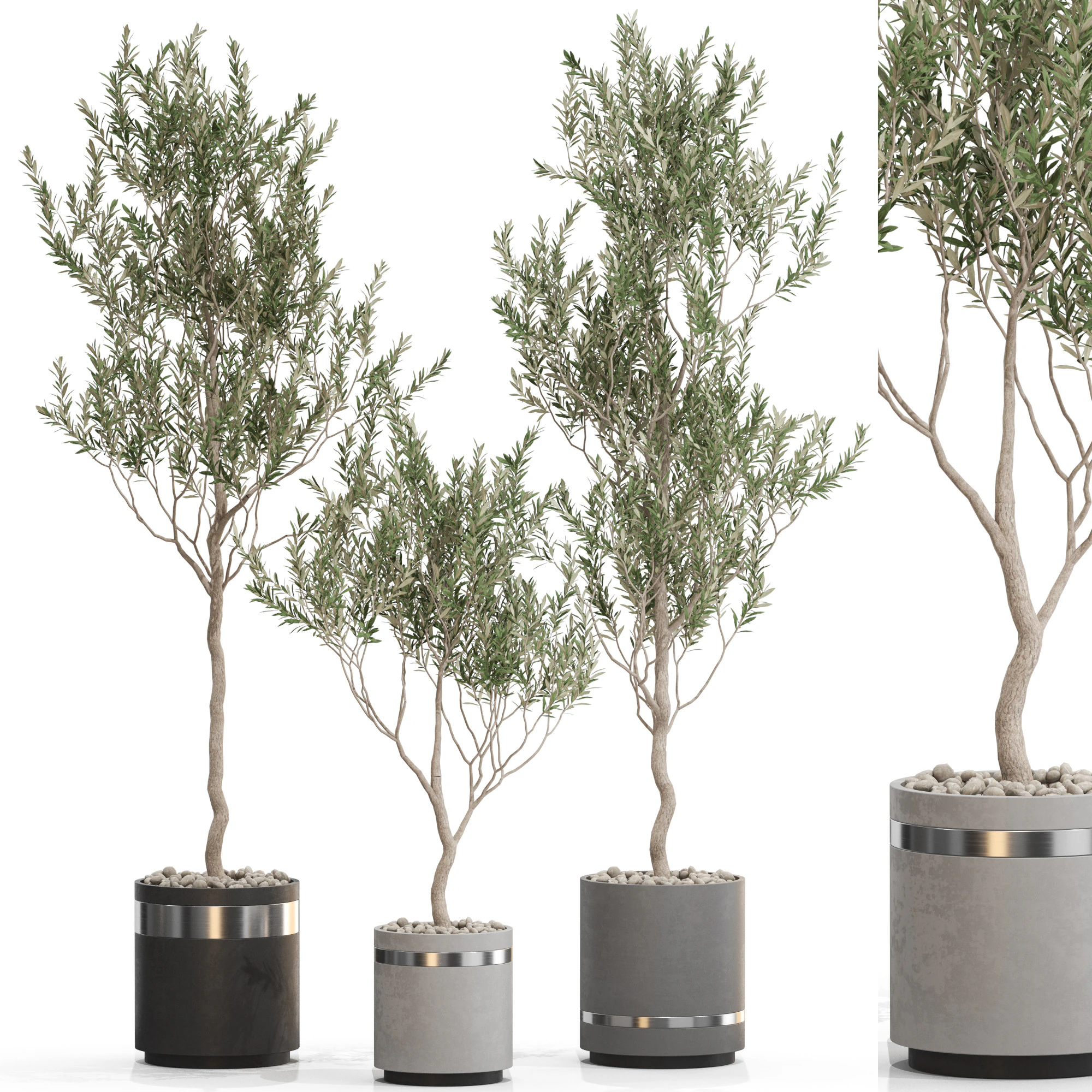 Plants collection 731 3D Model .c4d .max .obj .3ds .fbx .stl .blend