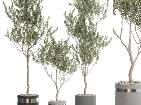 Koleksi tanaman 731 Model 3D