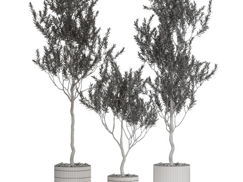 Plants collection 731 3D Model