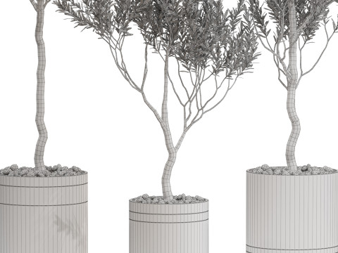 Plants collection 731 3D Model