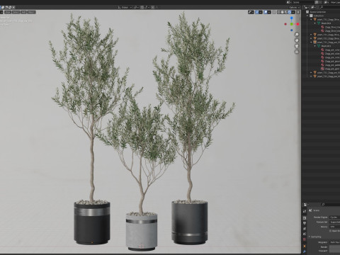 Plants collection 731 3D Model