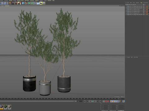 Plants collection 731 3D Model