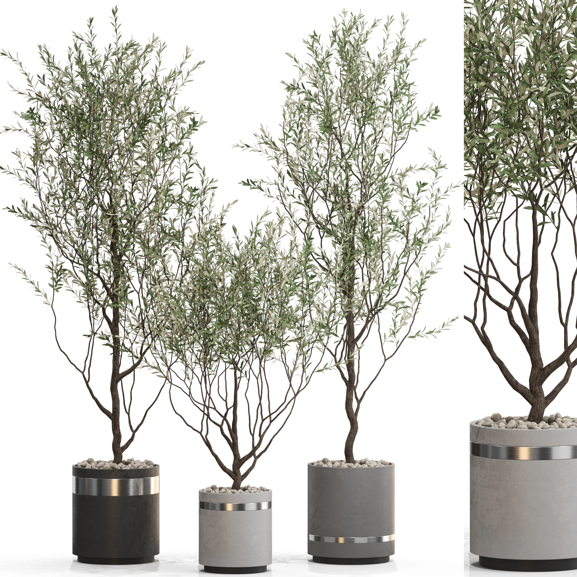 Plants collection 732 3D Model .c4d .max .obj .3ds .fbx .stl .blend