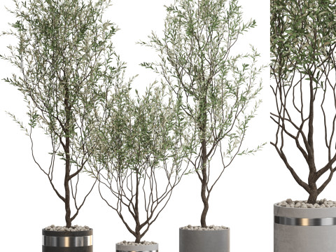 Plants collection 732 3D-Modell