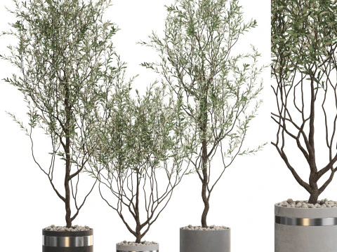 Koleksi tanaman 732 Model 3D