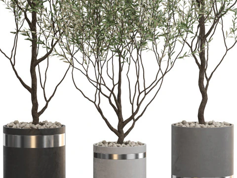 Plants collection 732 3D Model