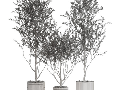 Plants collection 732 Modello 3D