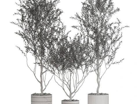 Plants collection 732 3D Model