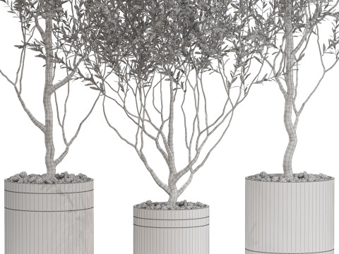 Plants collection 732 Modello 3D