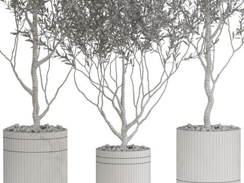 Plants collection 732 3D Model