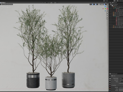Plants collection 732 Modello 3D