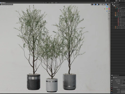 Plants collection 732 3D Model