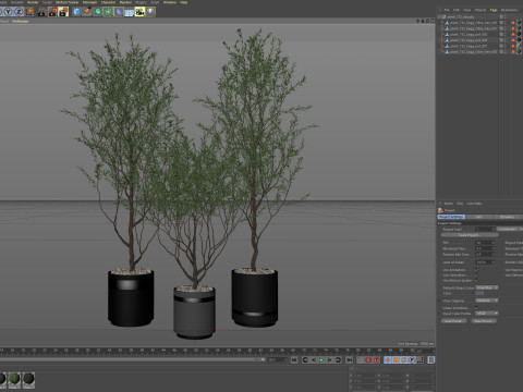 Plants collection 732 Modello 3D