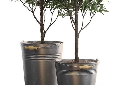 Plants collection 733 3D Модель