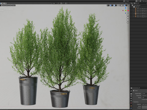 Plants collection 734 3D 模型