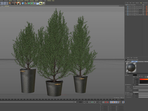 Plants collection 734 3D 模型