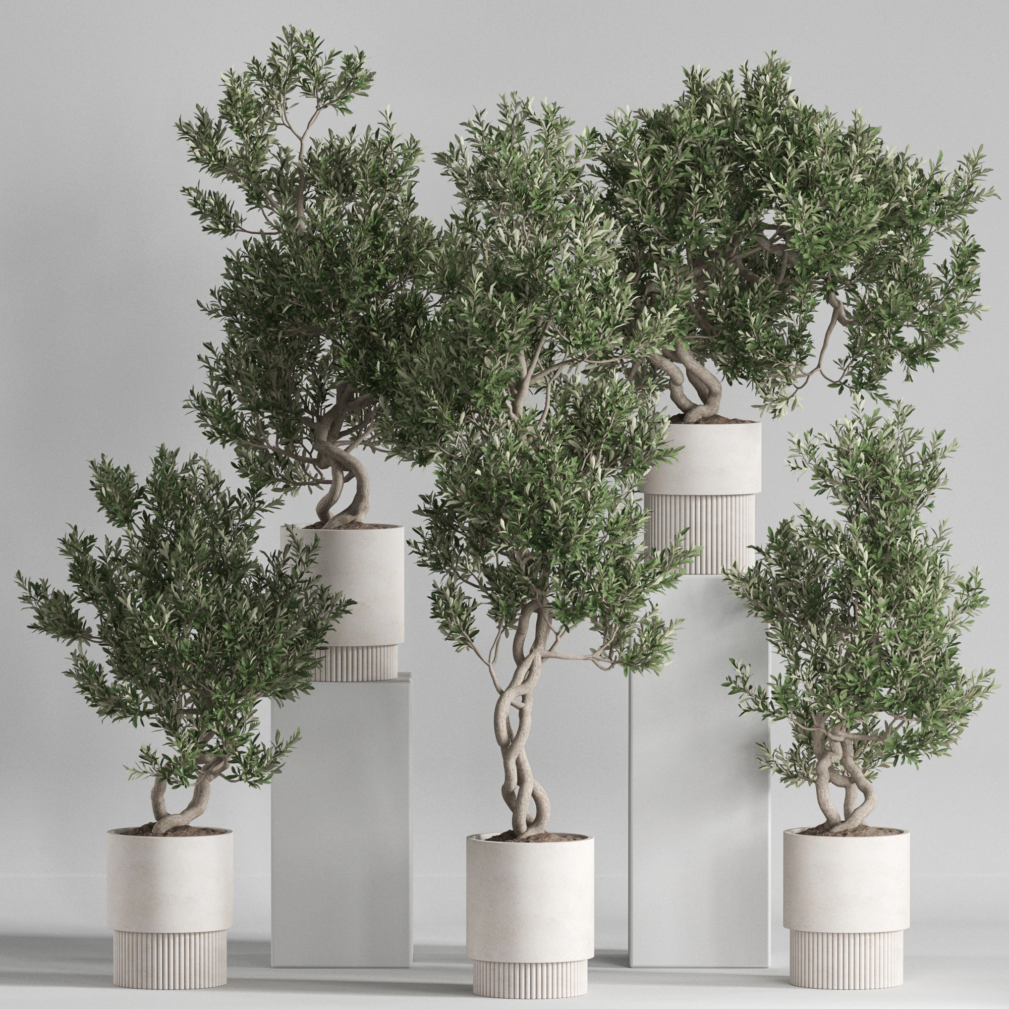 Plants collection 735 3D Model .c4d .max .obj .3ds .fbx .stl .blend 