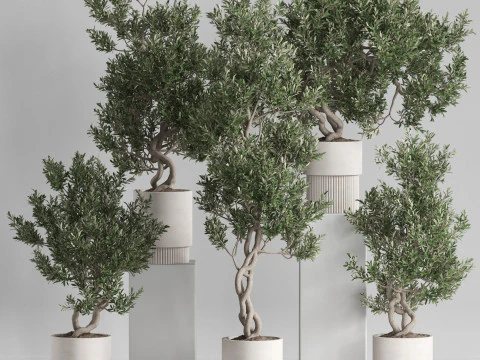 Koleksi tanaman 735 Model 3D