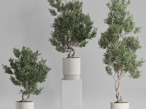 Plants collection 735 3D Model