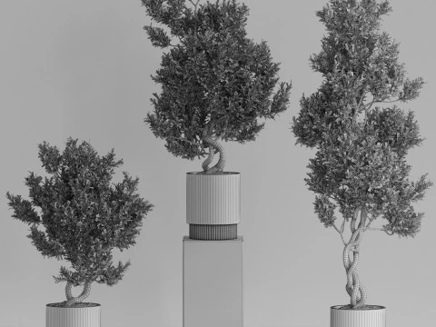 Plants collection 735 3D Model
