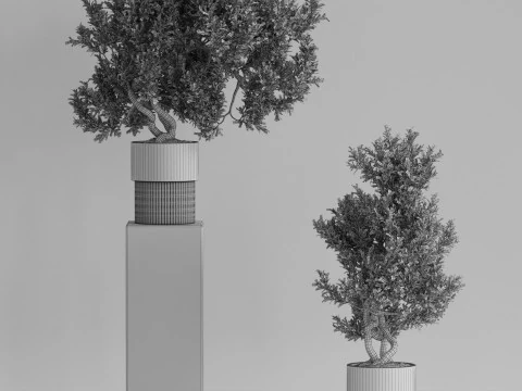 Plants collection 735 3D Model