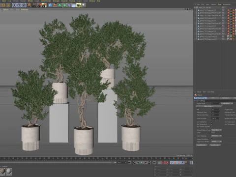 Plants collection 735 3D Model