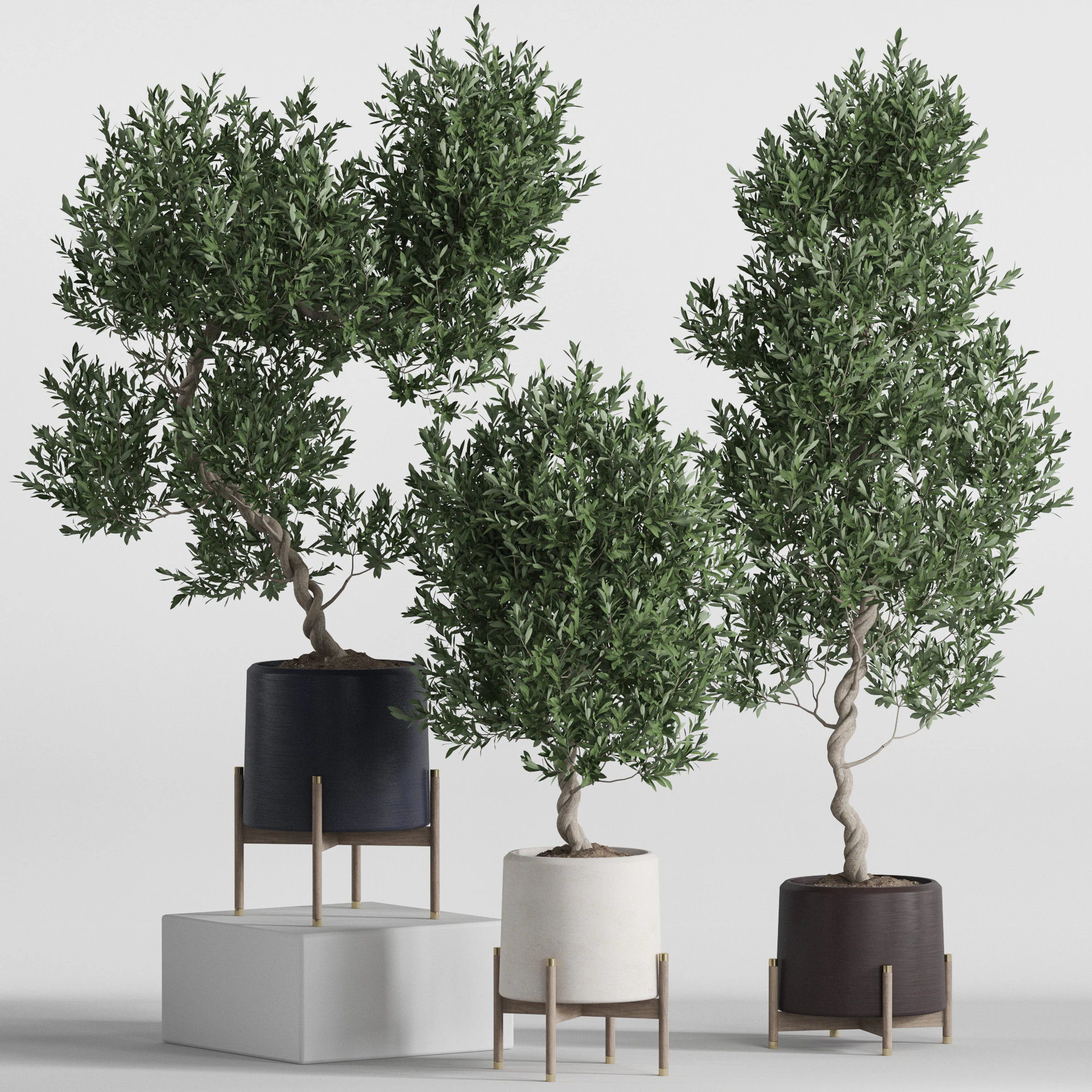Plants collection 737 3D Model .c4d .max .obj .3ds .fbx .stl .blend 