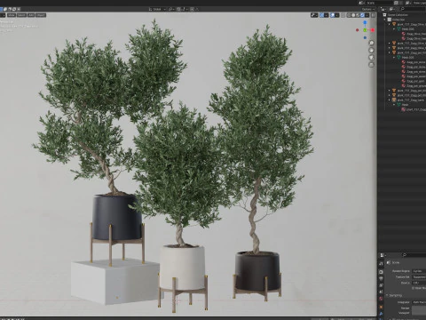Plants collection 737 3D Model