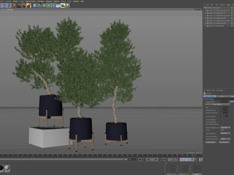 Plants collection 737 3D Model