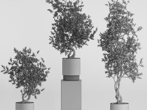 Plants collection 736 3D 모델