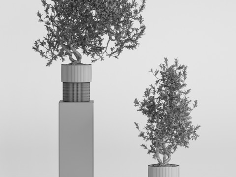 Plants collection 736 3D 모델