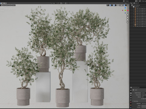 Plants collection 736 3D 모델