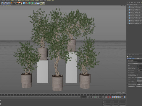 Plants collection 736 3D 모델