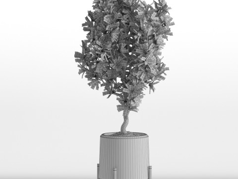 Plants collection 738 Modello 3D