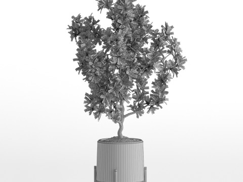 Plants collection 738 Modello 3D