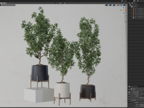 Plants collection 738 Modello 3D