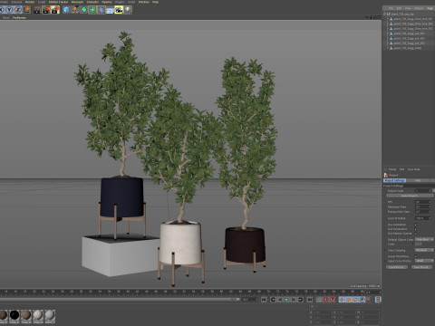 Plants collection 738 Modello 3D