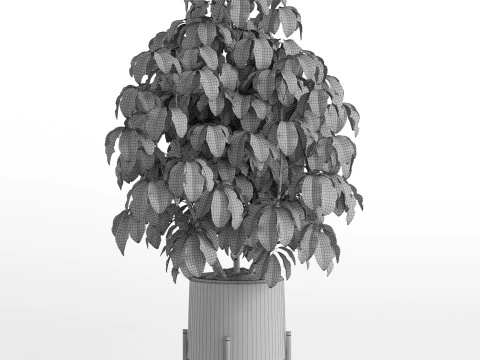 Plants collection 739 3D Model