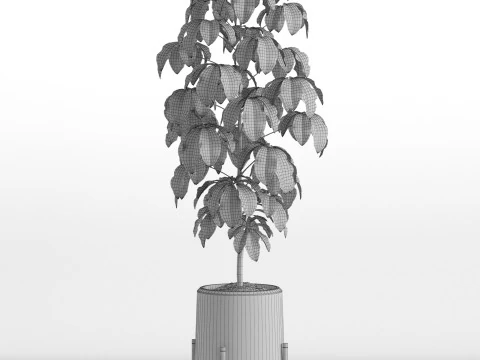 Plants collection 739 3D Model