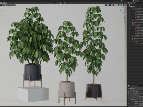 Plants collection 739 Modèle 3D