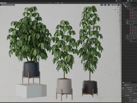 Plants collection 739 3D Model