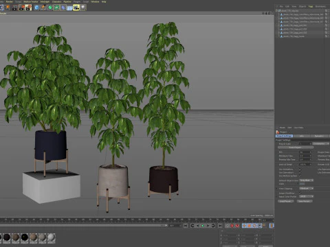 Plants collection 739 3D Model