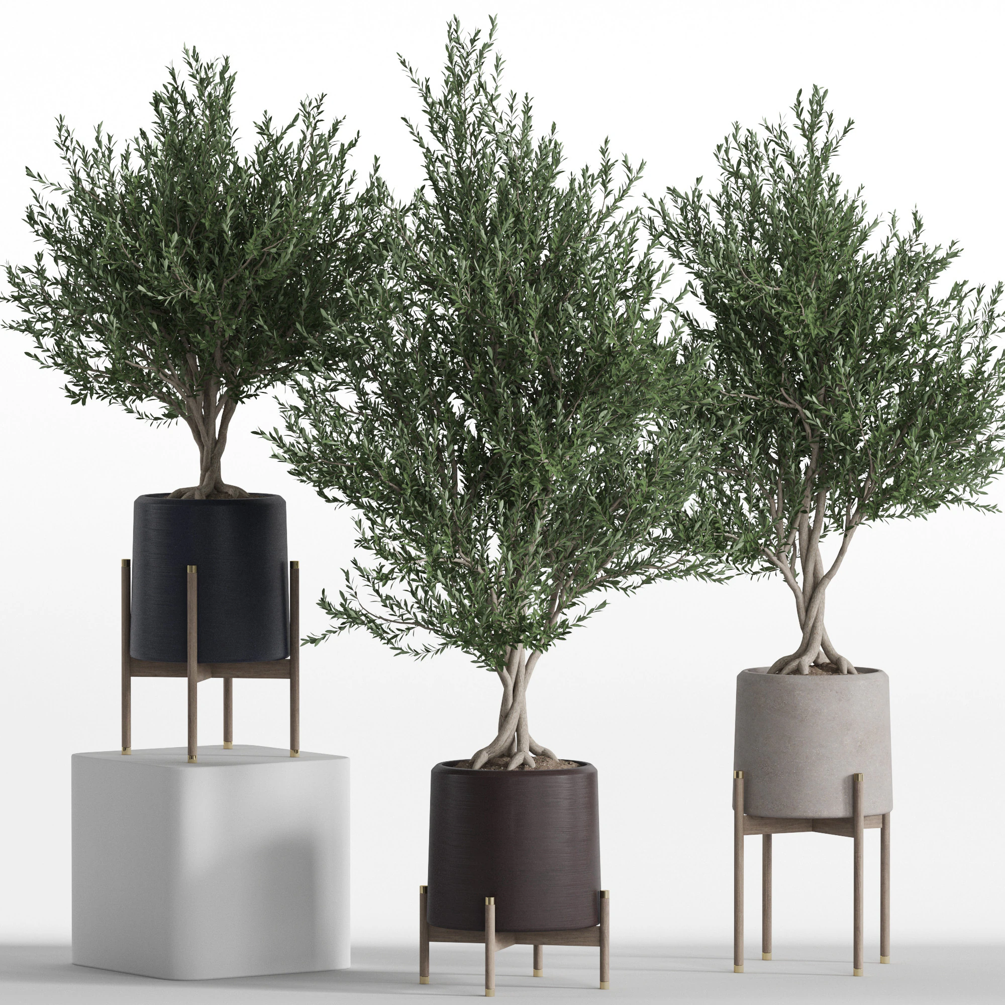 Plants collection 740 3D Model .c4d .max .obj .3ds .fbx .stl .blend 